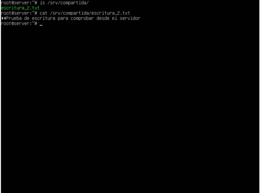 Imagen de una consola de Ubuntu Server comprobando los archivos de una carpeta compartida